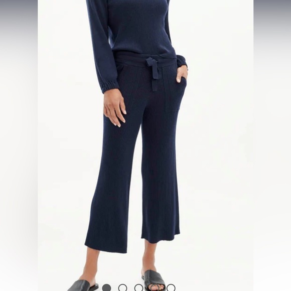 Splendid Navy Cropped Pants - Picture 1 of 15